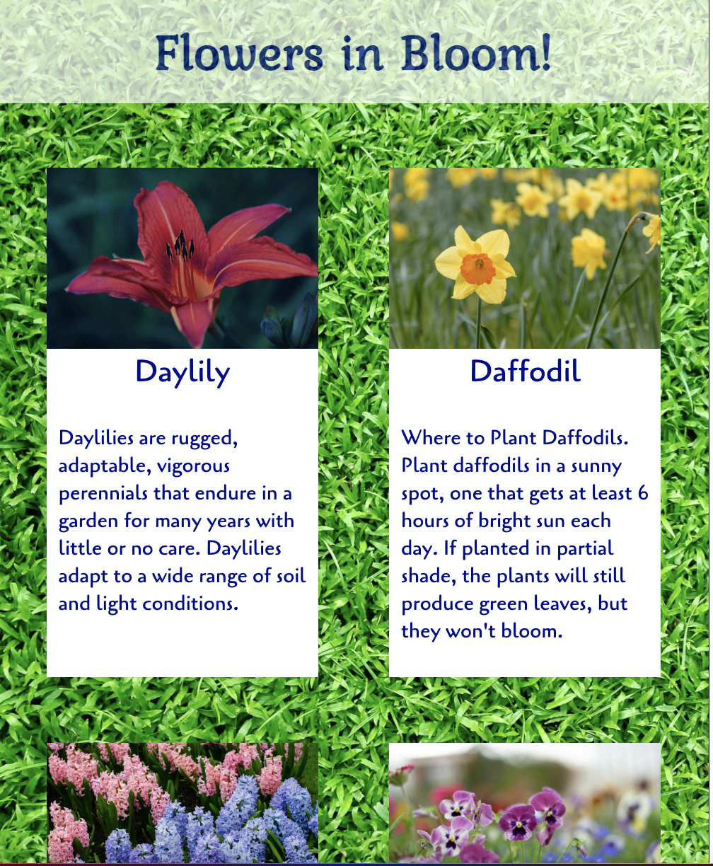 Screen shot of Flexbox
