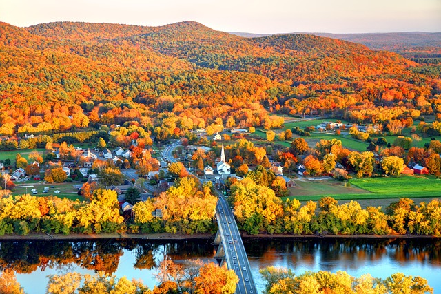 Overhead view of leaves changing in fall in Massachusetts